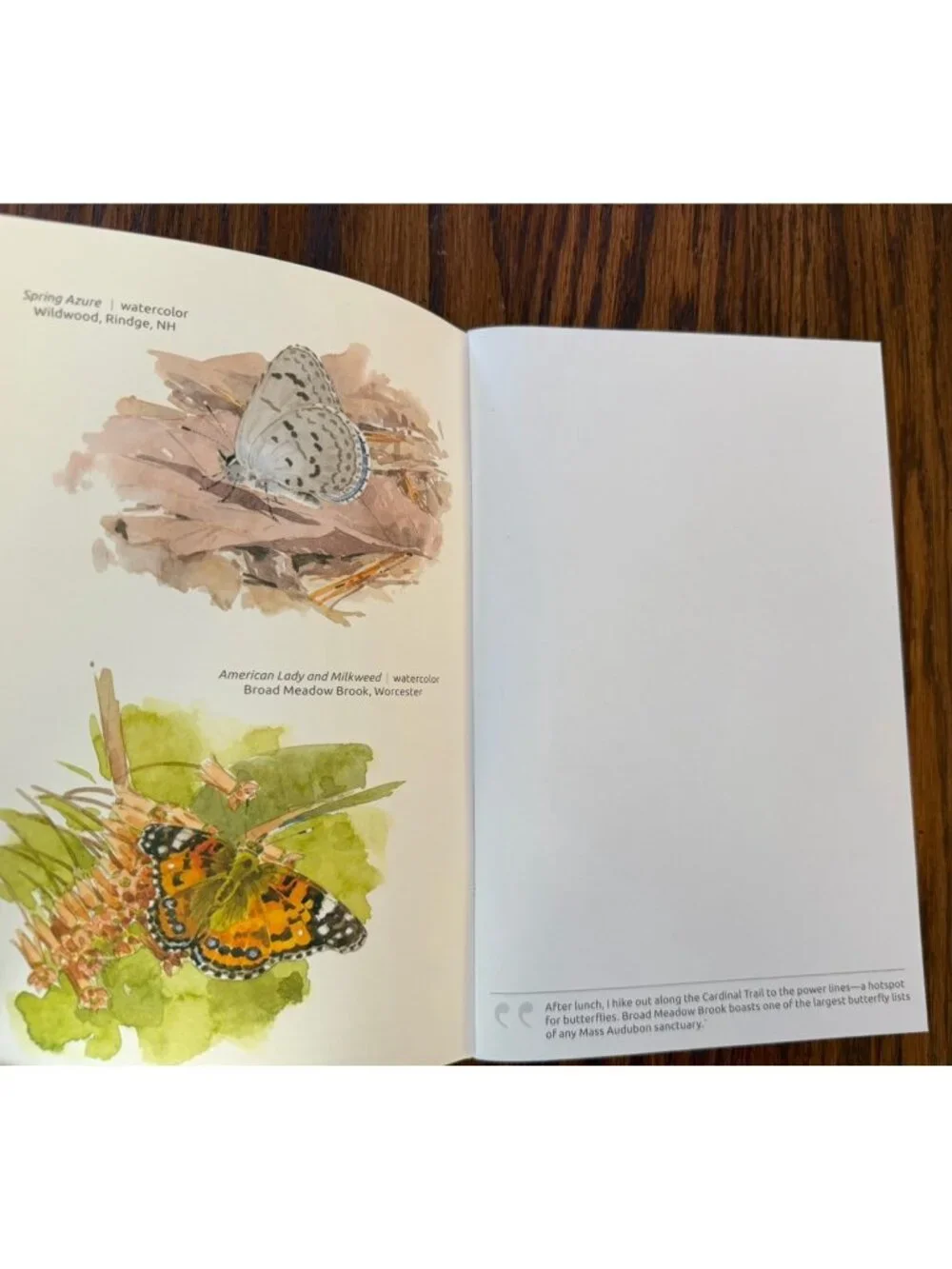 Mass‎ Audubon Field Journal